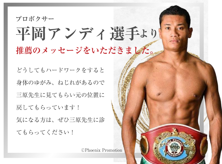 プロボクサー 平岡アンディ選手より推薦のメッセージ頂きました。