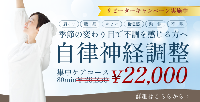 リピーターキャンペーン